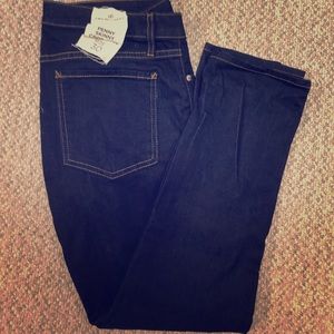 BB Dakota NWT Skinny Jeans